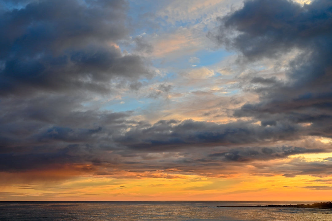 A New Life Framed Art Photograph by Christina Stefani