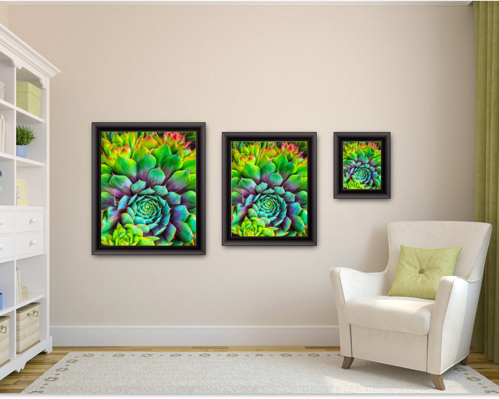 Succulent-Splendor-cactus-painting-art-print-by-Christina-Stefani-with-black-scoop-frame-hanging-on-a-wall-three-sizes-Stefani-Fine-Art