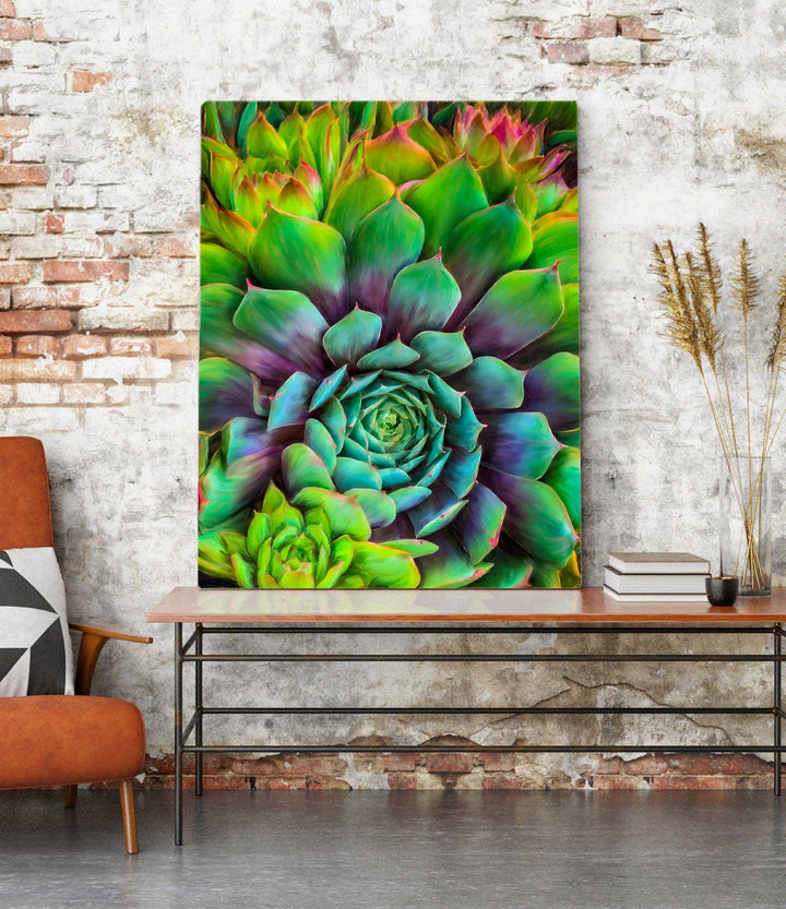 Succulent Splendor – Collector's Edition - Original - Christina Stefani - Stefani Fine Art