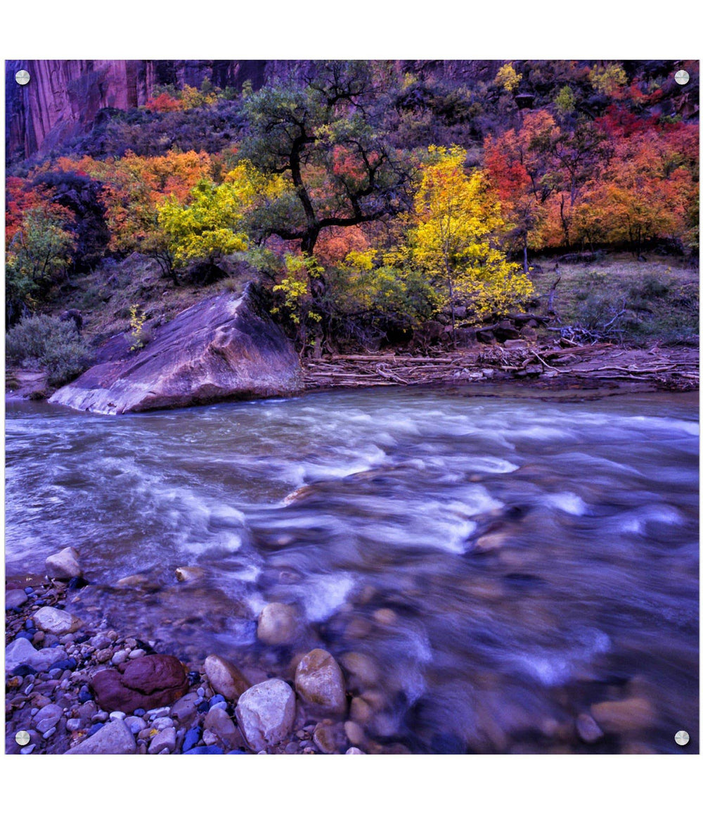 Autumn Glory Zion – Collector's Edition - Original - Richard Stefani - Stefani Fine Art