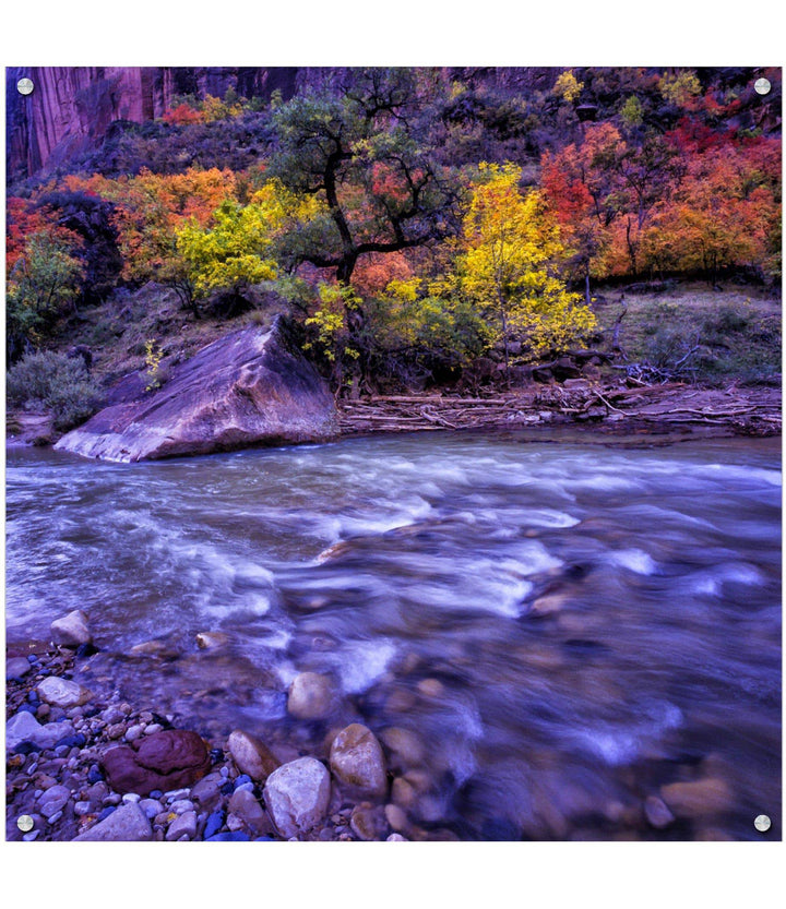 Autumn Glory Zion – Collector's Edition - Original - Richard Stefani - Stefani Fine Art