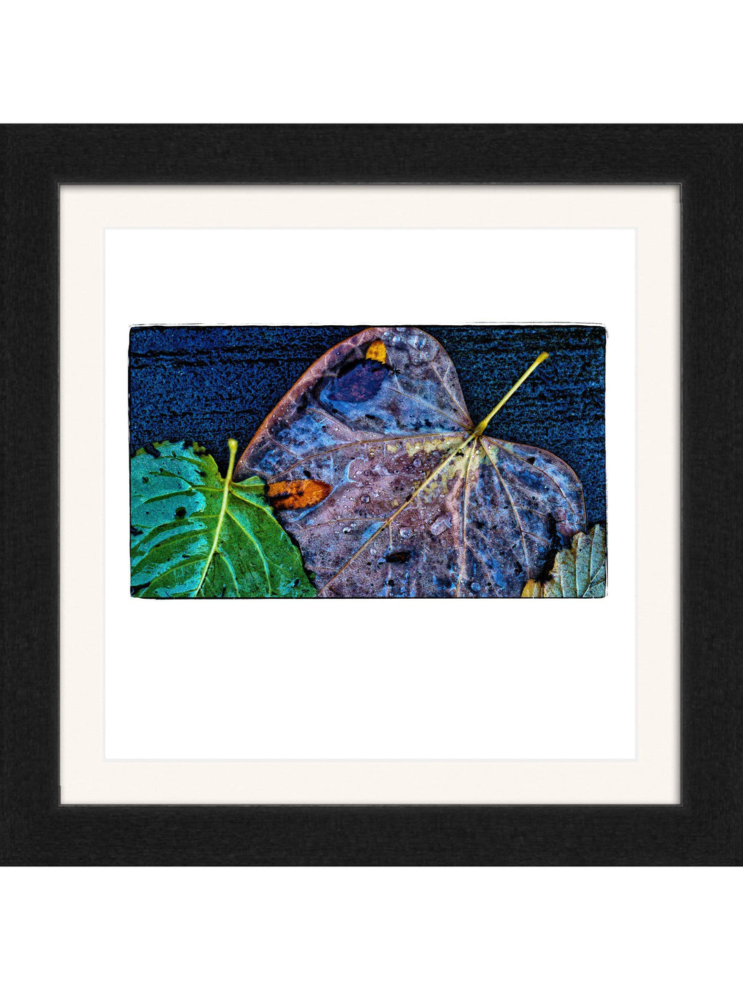 The Space Between Square Edition - Square Editions - Richard Stefani - Stefani Fine Art