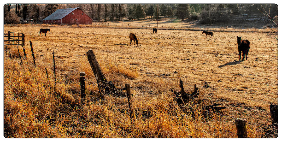 Eastern Oregon Vignette No. 10