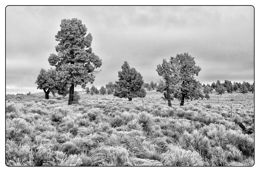 Eastern Oregon Vignette No. 2