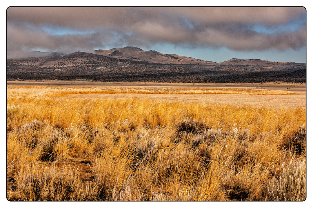 Eastern Oregon Vignette No. 9