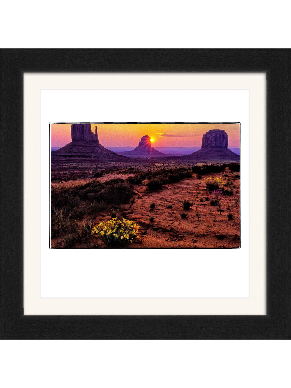 Spring in Monument Valley Square Edition - Richard Stefani - Stefani Fine Art