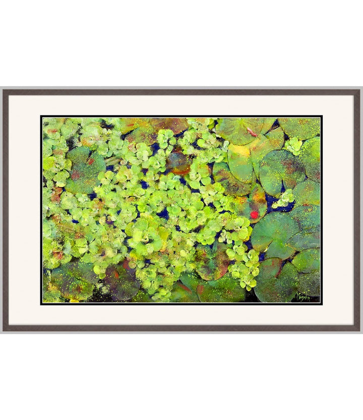 Lily Pads – Limited Edition - Limited Editions - Christina Stefani - Stefani Fine Art