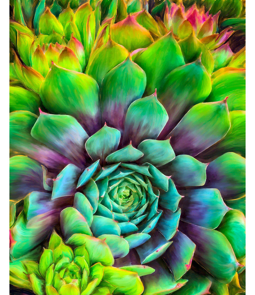 Succulent Splendor – Limited Edition - Limited Editions - Christina Stefani - Stefani Fine Art