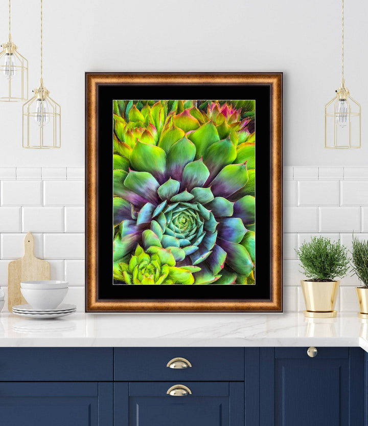 Succulent Splendor – Limited Edition - Limited Editions - Christina Stefani - Stefani Fine Art