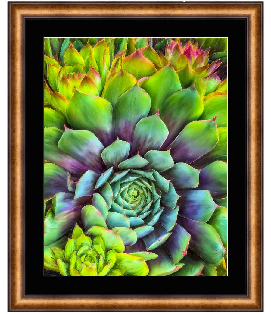 Succulent Splendor – Limited Edition - Limited Editions - Christina Stefani - Stefani Fine Art