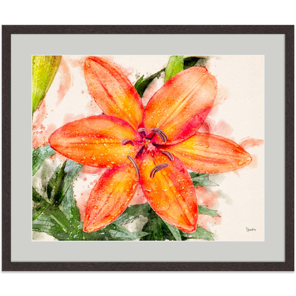 Orange Lily - Legacy Editions - Christina Stefani - Stefani Fine Art