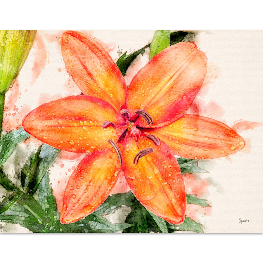 Orange Lily - Legacy Editions - Christina Stefani - Stefani Fine Art