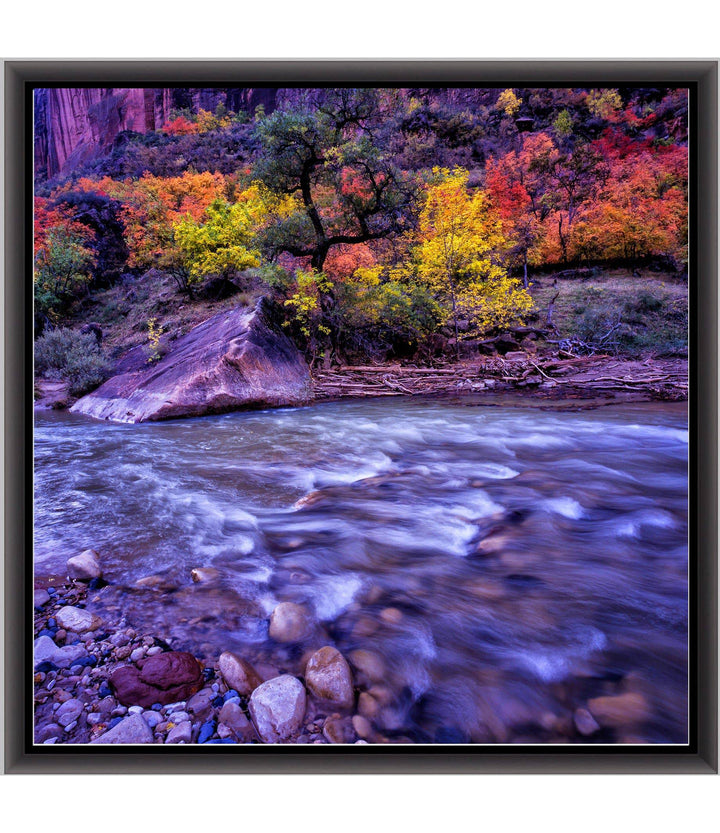 Autumn Glory art print  - Richard Stefani - Stefani Fine Art