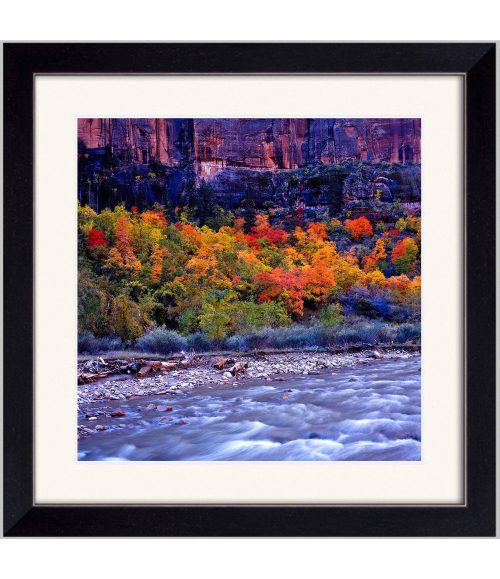 Autumn in Zion - Open Editions - Richard Stefani - Stefani Fine Art