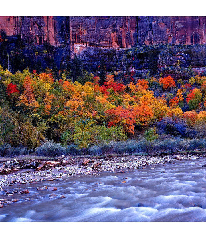 Autumn in Zion - Open Editions - Richard Stefani - Stefani Fine Art