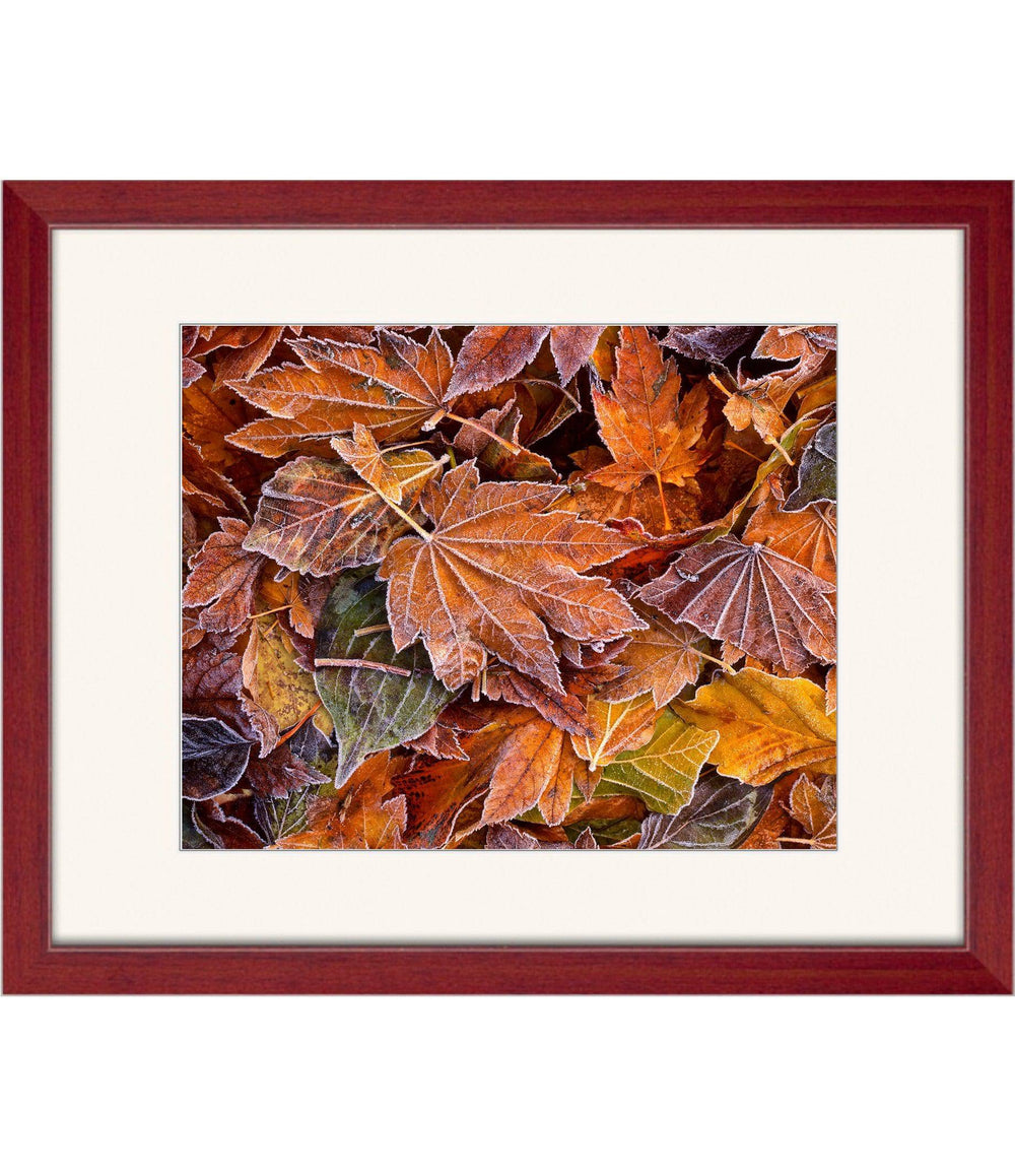 Autumn's First Frost - Open Editions - Richard Stefani - Stefani Fine Art