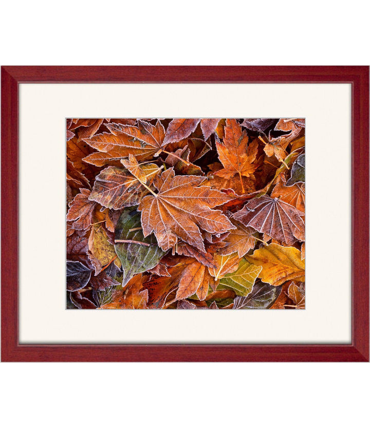 Autumn's First Frost - Open Editions - Richard Stefani - Stefani Fine Art