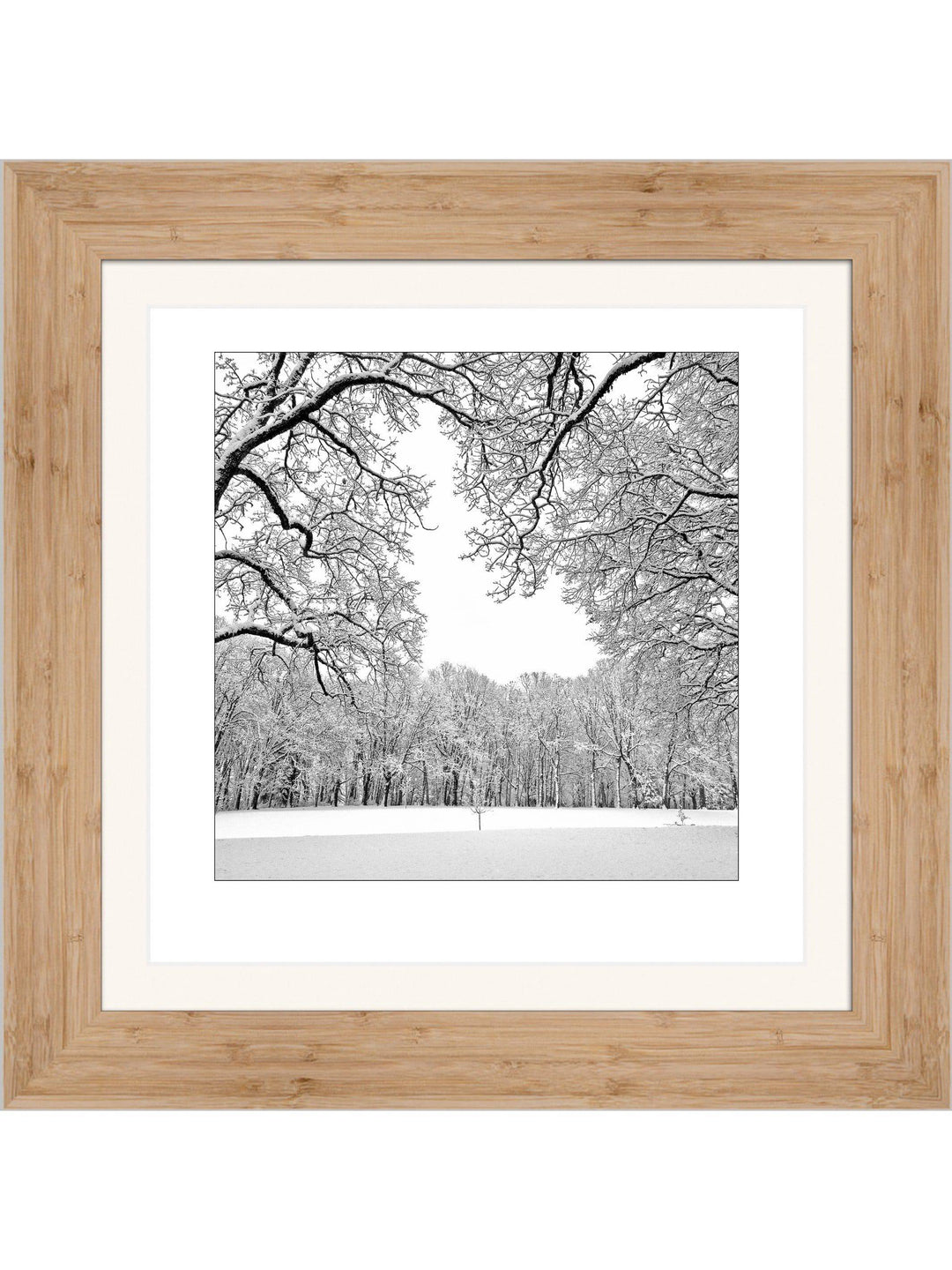 First Snow Square Edition - Square Editions - Richard Stefani - Stefani Fine Art