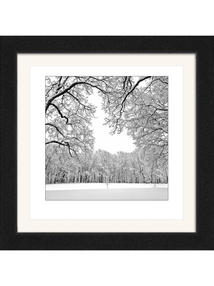 First Snow Square Edition - Square Editions - Richard Stefani - Stefani Fine Art