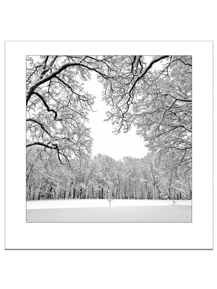 First Snow Square Edition - Square Editions - Richard Stefani - Stefani Fine Art