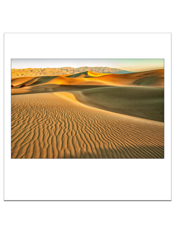 Golden Light - Death Valley Square Edition - Square Editions - Richard Stefani - Stefani Fine Art