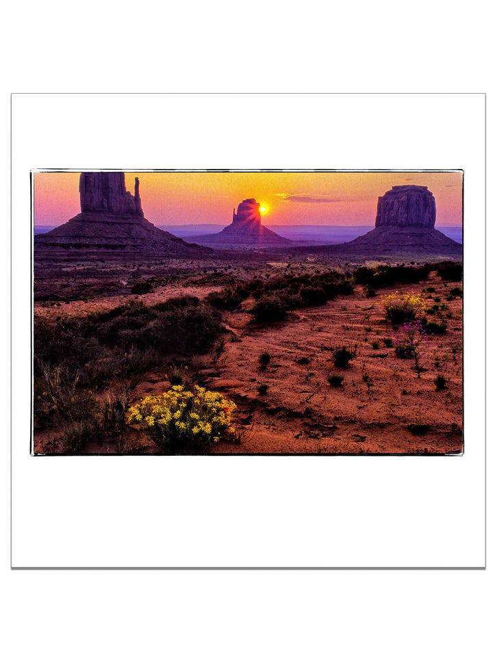 Spring in Monument Valley Square Edition - Square Editions - Richard Stefani - Stefani Fine Art